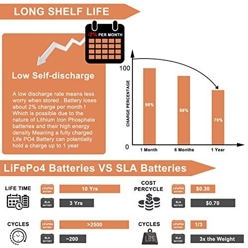 うファッション Lifepo 4電池24 V 100 AH、ディープサイクルリン酸リチウム電池、BMS内蔵充電式リチウム鉄電池4000+RV、マリン、キャンプ、ボート、太陽光発電などのライフ