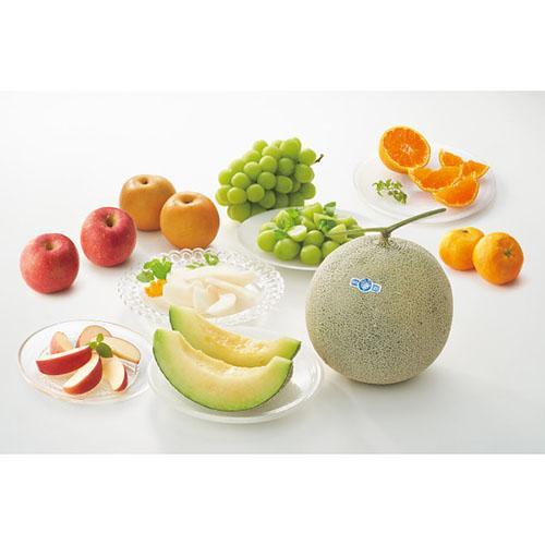 その他 旬を味わうフルーツ詰め合わせ |  | 01