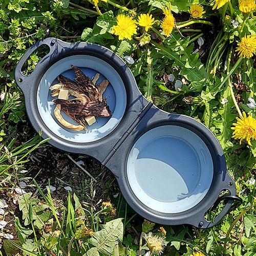 多摩電子工業 TPTS012H 携帯用2in1フィードボウル グレー |  | 03