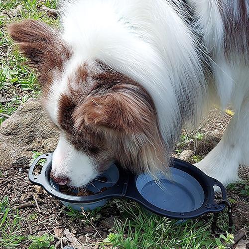 多摩電子工業 TPTS012H 携帯用2in1フィードボウル グレー |  | 04