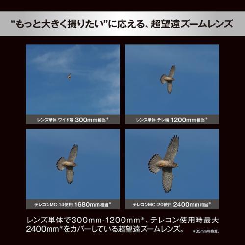 OM SYSTEM M.ZUIKO DIGITAL ED 150-600mm F5.0-6.3 IS マイクロフォーサーズ用 望遠ズームレンズ｜eccurrent｜04