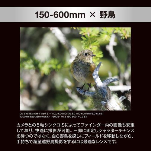 OM SYSTEM M.ZUIKO DIGITAL ED 150-600mm F5.0-6.3 IS マイクロフォーサーズ用 望遠ズームレンズ｜eccurrent｜09