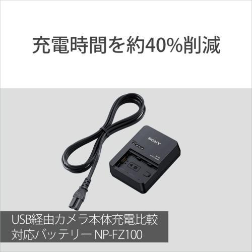ソニー(SONY) ACC-QZ1K アクセサリーキット BC-QZ1+NP-FZ100 