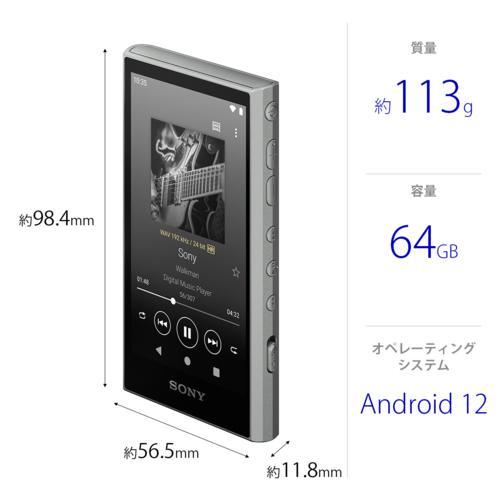 ソニー SONY NW-A307 H グレー ハイレゾ音源対応 ウォークマン Aシリーズ 64GB NWA307HC