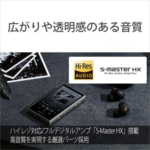 ソニー SONY NW-A307 H グレー ハイレゾ音源対応 ウォークマン Aシリーズ 64GB NWA307HC