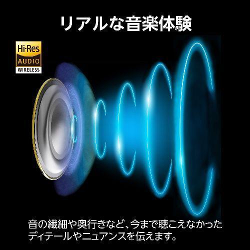 イヤホン LBT-TWS18BK Blue Black エレコム LBT-TWS18BK ワイヤレスイヤホン Bluetooth 5.2 ハイレゾ対応