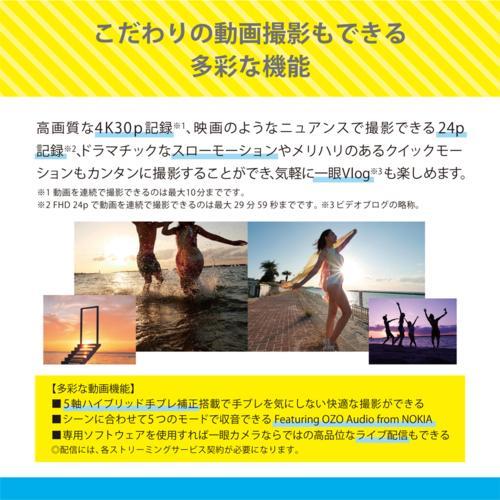 【長期5年保証付】パナソニック(Panasonic) LUMIX DC-G100DK 標準レンズキット マイクロフォーサーズ ミラーレス一眼カメラの画像