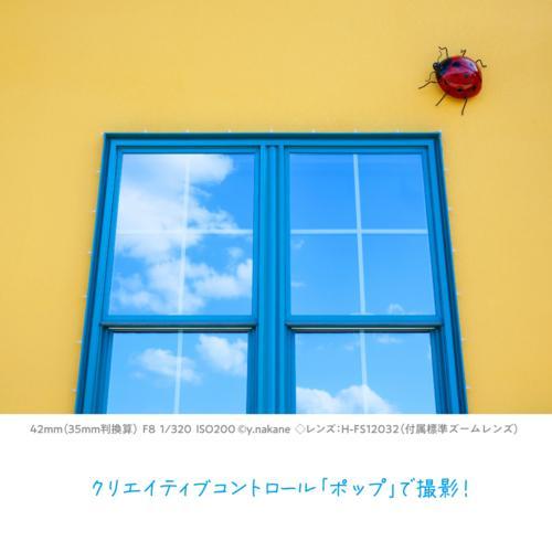 【長期5年保証付】パナソニック(Panasonic) LUMIX DC-G100DK 標準レンズキット マイクロフォーサーズ ミラーレス一眼カメラの画像
