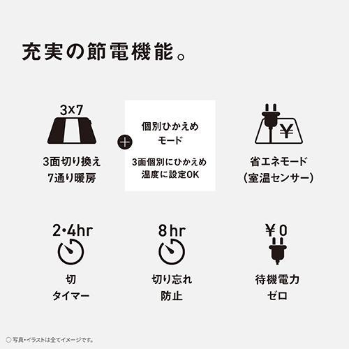 パナソニック(Panasonic) DC-3HAC3-C グレージュ 電気カーペット