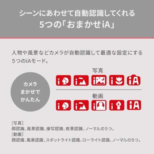 【長期5年保証付】パナソニック Panasonic HC-V900K ビーズブラック FHD デジタルハイビジョンビデオカメラ HCV900K_6