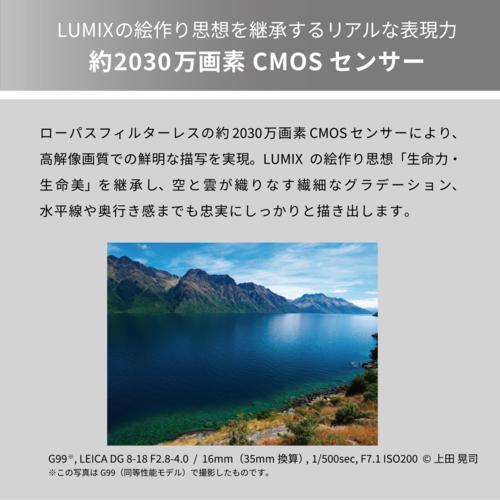 【長期5年保証付】パナソニック Panasonic LUMIX DC-G99M2 ボディ マイクロフォーサーズ デジタル一眼カメラ DCG99M2_2