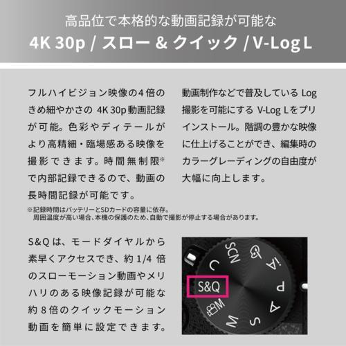 【長期5年保証付】パナソニック Panasonic LUMIX DC-G99M2 ボディ マイクロフォーサーズ デジタル一眼カメラ DCG99M2_3