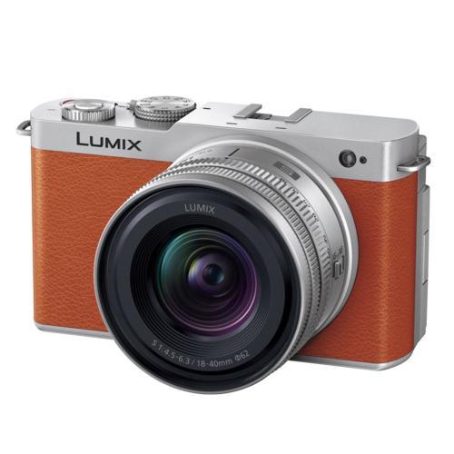 長期5年保証付】パナソニック(Panasonic) LUMIX S9 DC-S9W-D キャメル