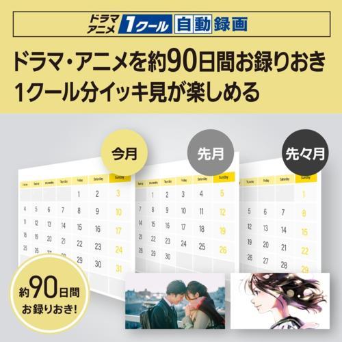 パナソニック(Panasonic) DMR-4TS204S DIGA 4Kチューナー内蔵