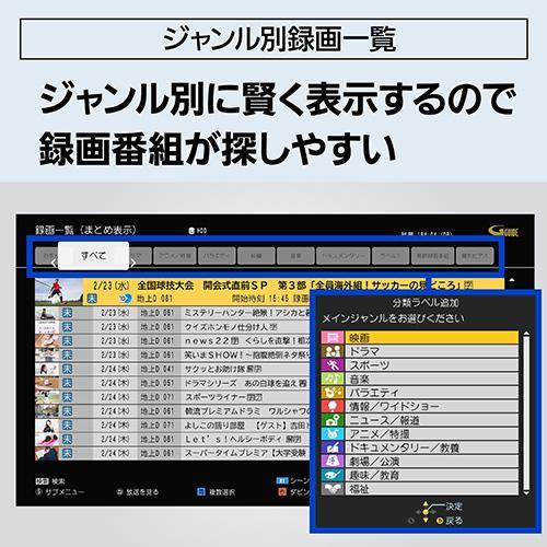 パナソニック(Panasonic) DMR-4T205 ディーガ ブルーレイディスクレコーダー 2TBの画像