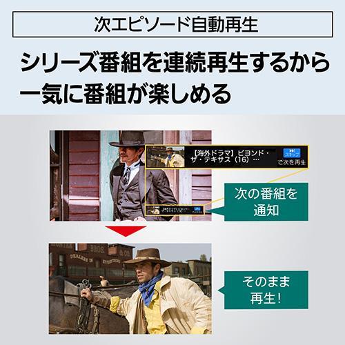 パナソニック(Panasonic) DMR-4T205 ディーガ ブルーレイディスクレコーダー 2TBの画像