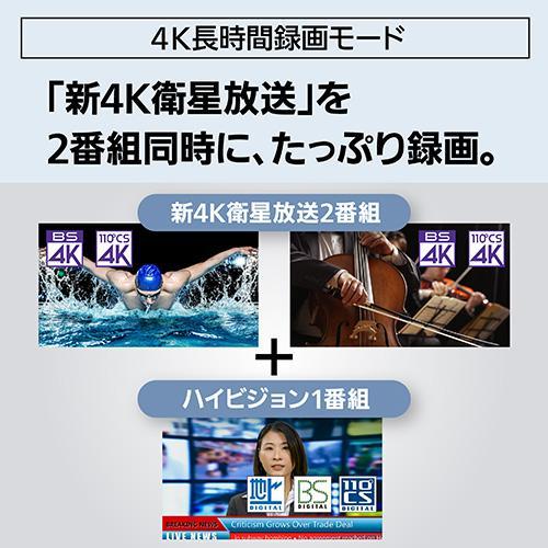 パナソニック(Panasonic) DMR-4T205 ディーガ ブルーレイディスクレコーダー 2TBの画像