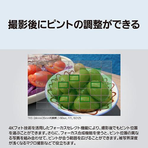 長期5年保証付】パナソニック(Panasonic) LUMIX TX3 ブラック