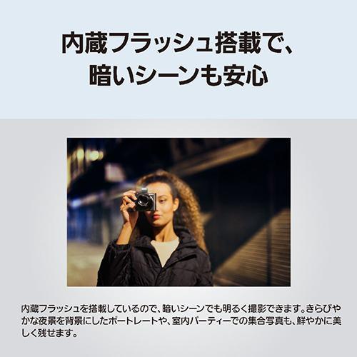 長期5年保証付】パナソニック(Panasonic) LUMIX TX3 グラファイト