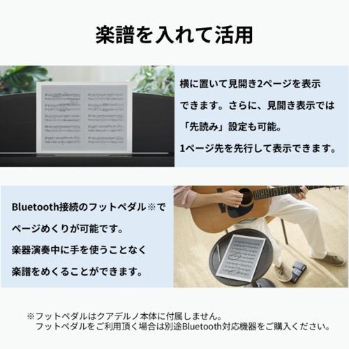 富士通(FUJITSU) FMVDP53CA5 電子ペーパー QUADERNO カラー