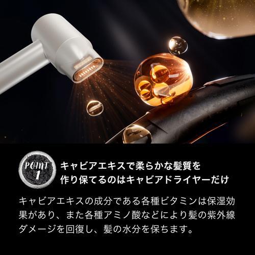 enas イーネーズ Caviar Dryer キャビアドライヤー 大風量 速乾 冷温