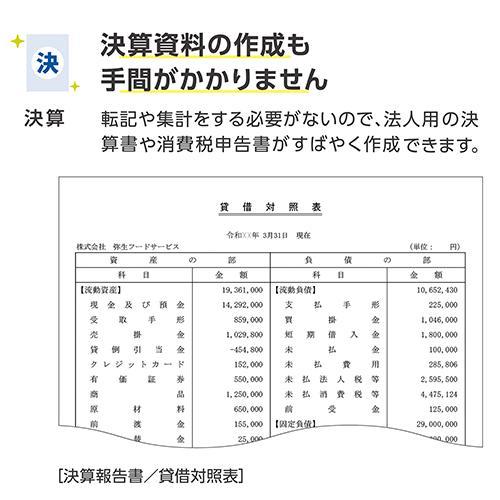 弥生 弥生会計 26 スタンダード 通常版 YTAV0001 |  | 04