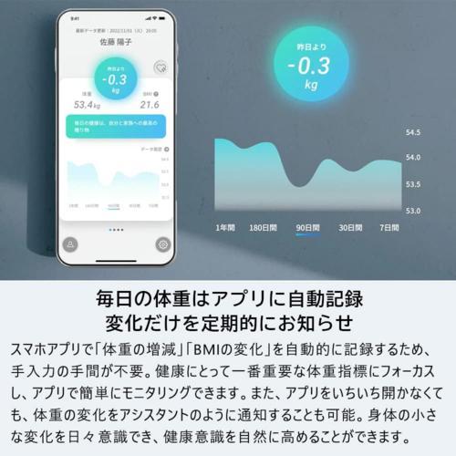 issin スマートバスマット ダークグレー 体重計モデル issin スマートバスマット ダークグレー 体重管理 珪藻土バスマット