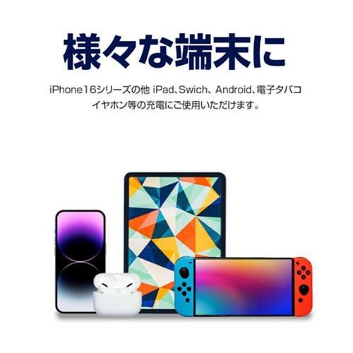 セイワ D647 DC/USBパワープラグ+USBケーブル 1.0m : ECカレント