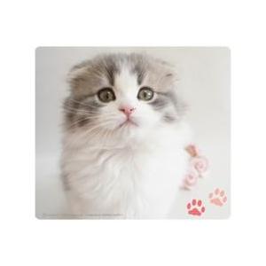 サンワサプライ MPD-215E スコティッシュフォールド 動物マウスパッド | SANWA SUPPLY