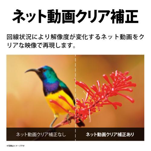 【新登場】 シャープ(SHARP) 4T-C50FL1 AQUOS(アクオス) 4K液晶テレビ 4K Wチューナー内蔵 50V型 【TMF1425796074】(50094円)