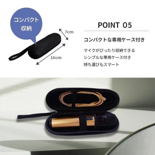 PENTATONIC(ペンタトニック) GTM300 シャンパンゴールド ワイヤレス