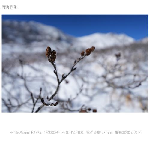 【長期保証付】ソニー(SONY) FE 16-25mm F2.8 G SEL1625G Eマウント用 フルサイズ 広角ズームレンズ