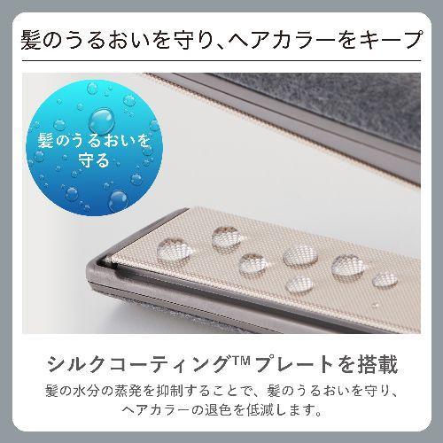 長期保証付】テスコム(TESCOM) NIS500B-H スモーキーグレー ストレート