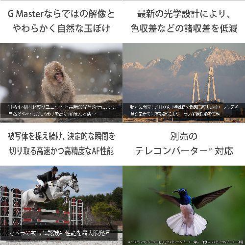 長期保証付】ソニー(SONY) FE 100-400mm F4.5 GM OSS ソニーEマウント