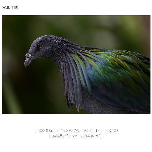 長期保証付】ソニー(SONY) FE 100-400mm F4.5 GM OSS ソニーEマウント