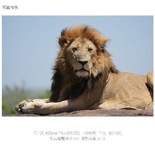 長期保証付】ソニー(SONY) FE 100-400mm F4.5 GM OSS ソニーEマウント