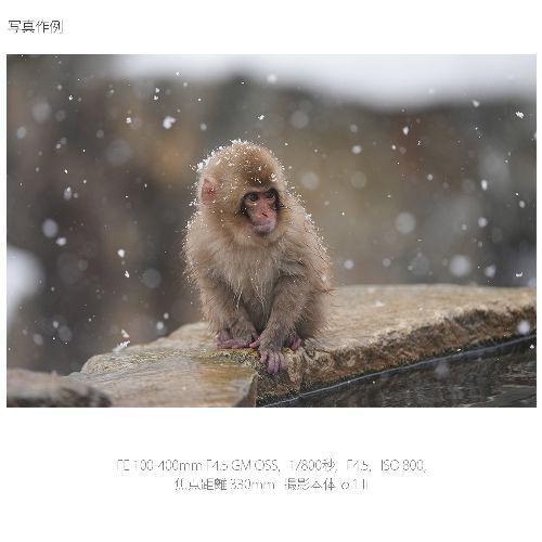 長期保証付】ソニー(SONY) FE 100-400mm F4.5 GM OSS ソニーEマウント