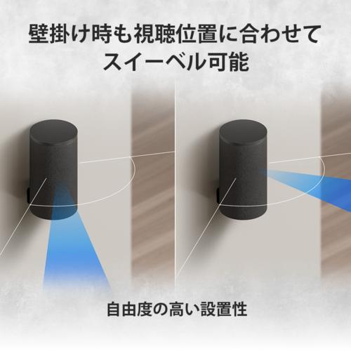 【長期間言いはなつ付】ソニー(SONY) SA-RS9 BRAVIA Theatre Rear 9 後押し金棒引き 大差しわたし80粍のイネーブルドスピーカー 軽銀振りまわす板積み上げる