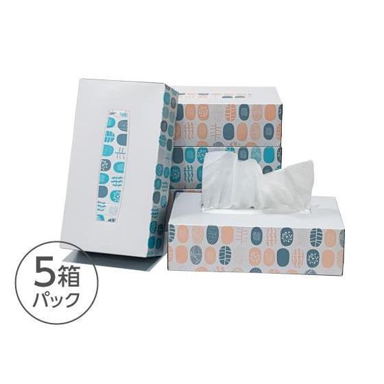 Forestway ティッシュペーパー ノルディック 200組 5個×12パック[代引不可] |  | 01