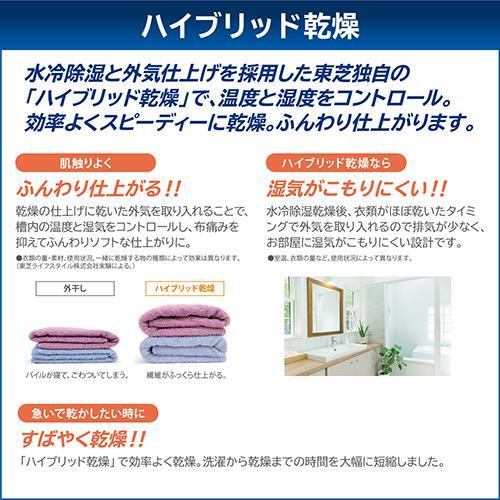 標準設置料金込】【長期5年保証付】東芝(TOSHIBA) AW-10VP4-T ボルドー