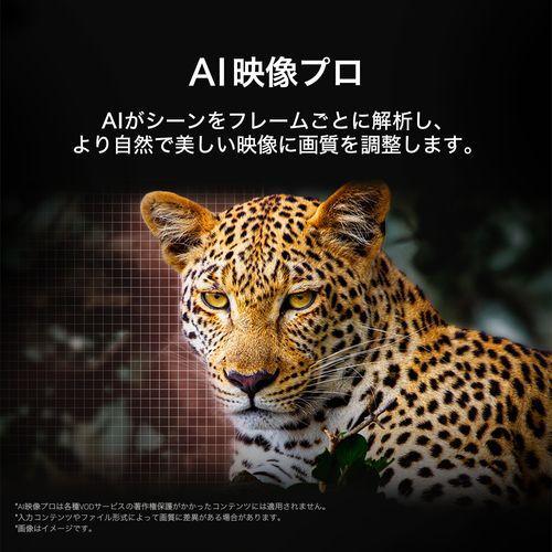 【標準設置料金込】【長期5年保証付】LGエレクトロニクス(LG) OLED77C5PJA 77V型 4K有機ELテレビの画像