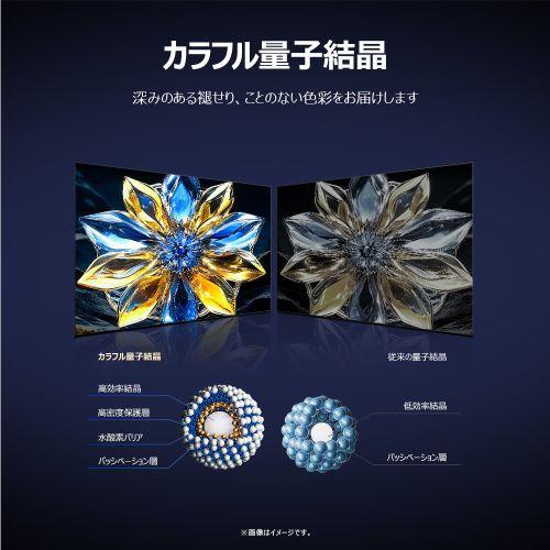 標準設置料金込】TCL(ティーシーエル) 65P8K 65V型 量子ドット4K 液晶