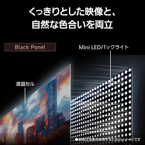 【設置＋リサイクル】【長期5年保証付】パナソニック(Panasonic) TV-55W93C 55V型 4K miniLED液晶テレビ VIERA ビエラ Fire TV |  | 03