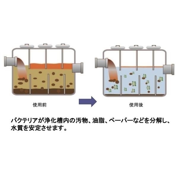Roebic K 37jd 4リットル 浄化槽用 合併浄化槽 保守メンテナンスバクテリア製剤 臭い消し 単独浄化槽 送料無料 激安 お買い得 キ フト 汲取りトイレも可 浄化槽の消臭
