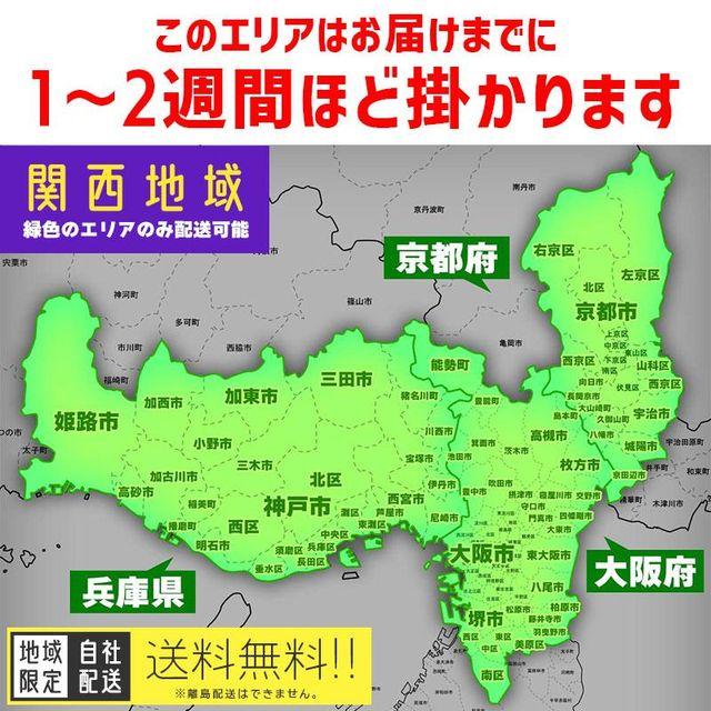 BRIDGESTONE 関東・関西 対象エリア 送料無料 電動自転車 BRIDGESTONE 関東・関西 対象エリア 送料無料 電動自転車