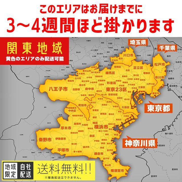 BRIDGESTONE 関東・関西 対象エリア 送料無料 電動自転車 BRIDGESTONE 関東・関西 対象エリア 送料無料 電動自転車