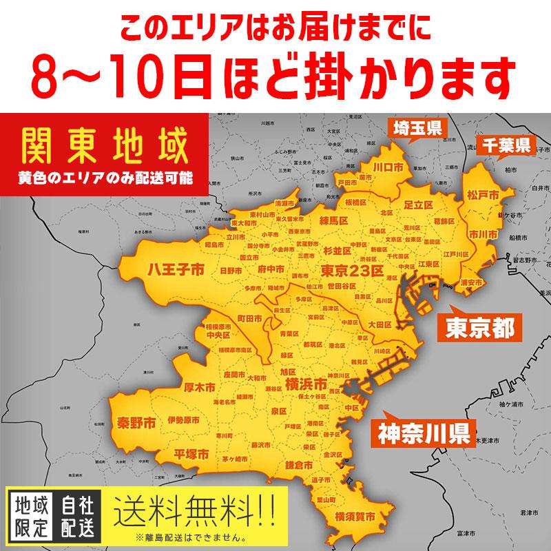 BRIDGESTONE 電動アシスト自転車 中古 【東京・神奈川・埼玉