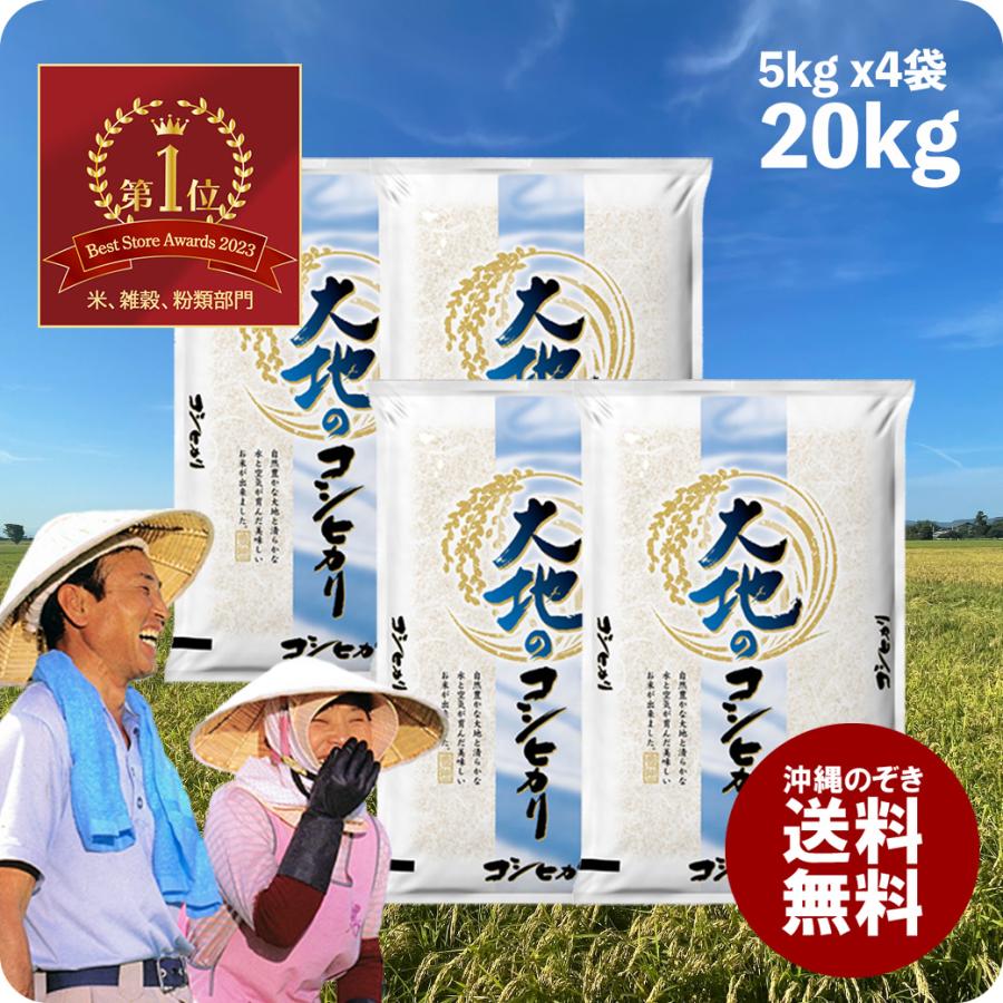 米 20kg 大地のコシヒカリ お米 20キロ 生活応援価格 安い 白米 おこめ