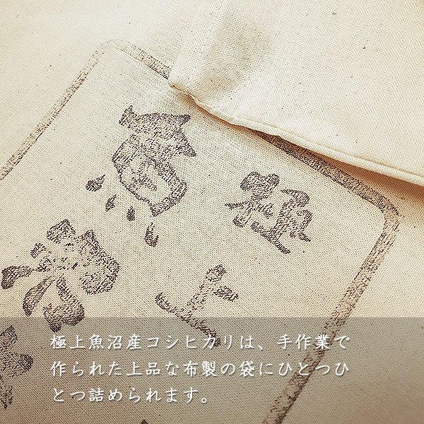 コシヒカリ 米 極上魚沼産コシヒカリ お米 10キロ 令和6年産 特A