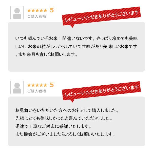 米 極上魚沼産コシヒカリ お米 20kg 令和7年産 送料無料 沖縄のぞく_10